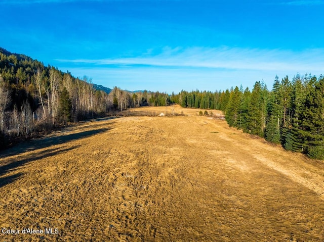 NNA Schweitzer Mtn Rd, Sandpoint, ID 83864 - photo 6