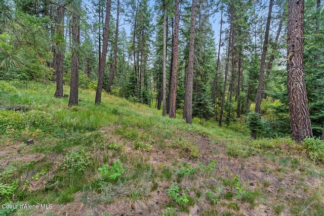 3490 S Stach Rd, Coeur Dalene, ID 83814 - photo 14