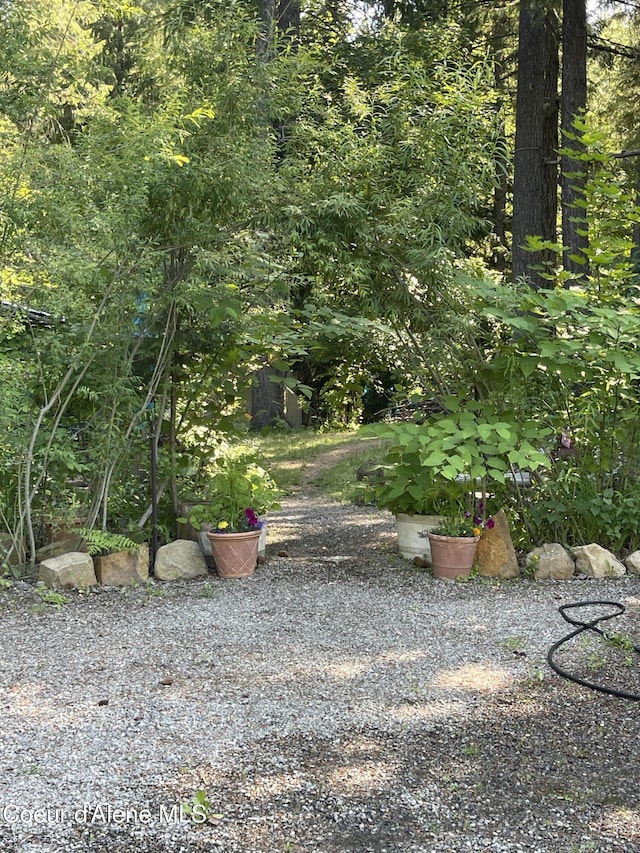 2256 Hoodoo Mountain Rd, Priest River, ID 83856 - photo 25