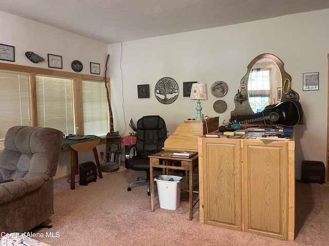 2256 Hoodoo Mountain Rd, Priest River, ID 83856 - photo 27
