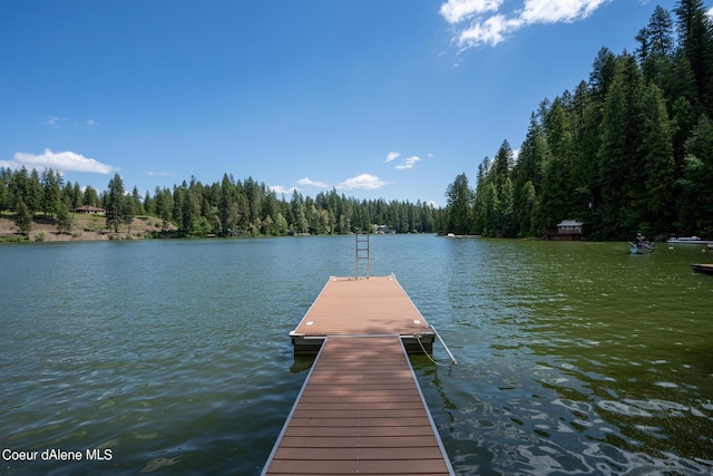 23896 N Bridge Lake Rd, Rathdrum, ID 83858 - photo 12