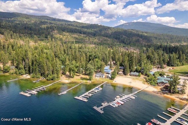 63 Sutton Ln, Coolin, ID 83821 - photo 35