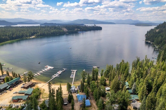 63 Sutton Ln, Coolin, ID 83821 - photo 38