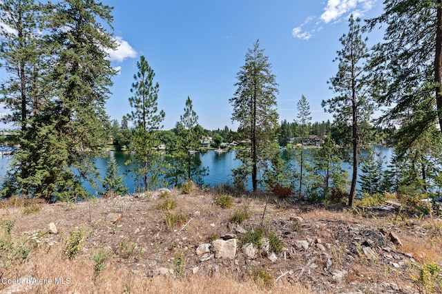 Gull Harbor Ct, Post Falls, ID 83854 - photo 26