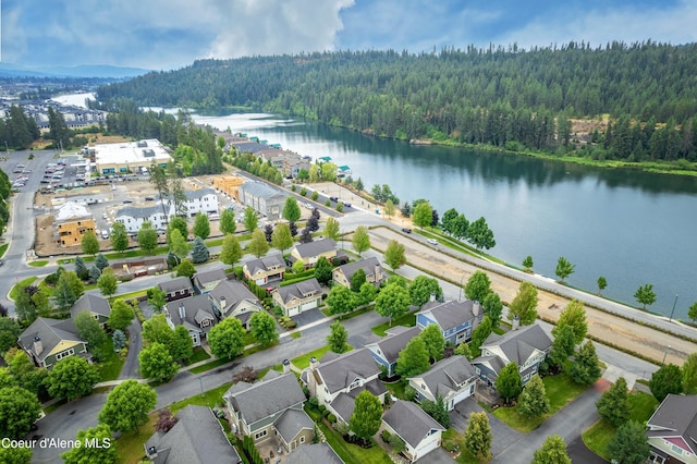 4083 W Shoreview Ln, Coeur Dalene, ID 83814 - photo 54