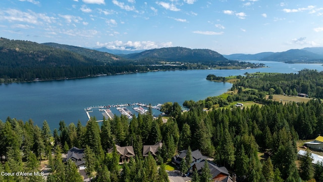 27 Markham Ct, Priest River, ID 83856 - photo 51