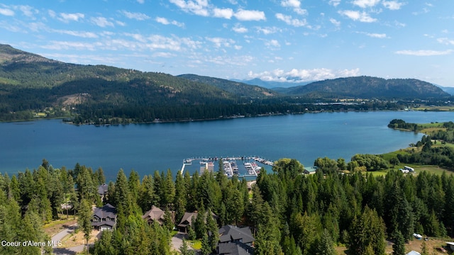 27 Markham Ct, Priest River, ID 83856 - photo 55