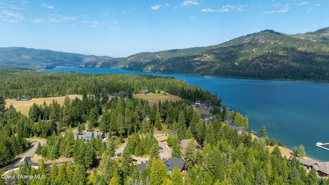 27 Markham Ct, Priest River, ID 83856 - photo 57