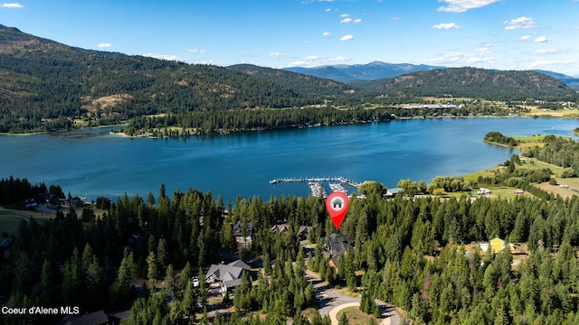 27 Markham Ct, Priest River, ID 83856 - photo 60