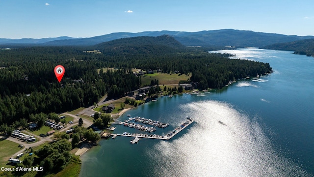 27 Markham Ct, Priest River, ID 83856 - photo 61
