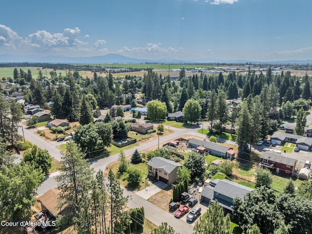 7026 W Tudor St, Rathdrum, ID 83858 - photo 32