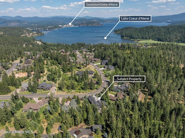 3886 W Cielo View Ct, Coeur Dalene, ID 83814 - photo 3