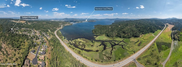 3886 W Cielo View Ct, Coeur Dalene, ID 83814 - photo 48