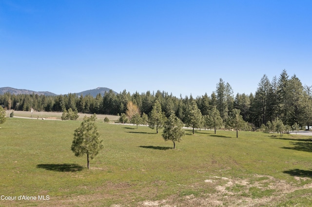 12891 N Rhett Rd, Rathdrum, ID 83858 - photo 45