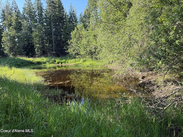442 Fox Glen Rd, Sandpoint, ID 83864 - photo 2