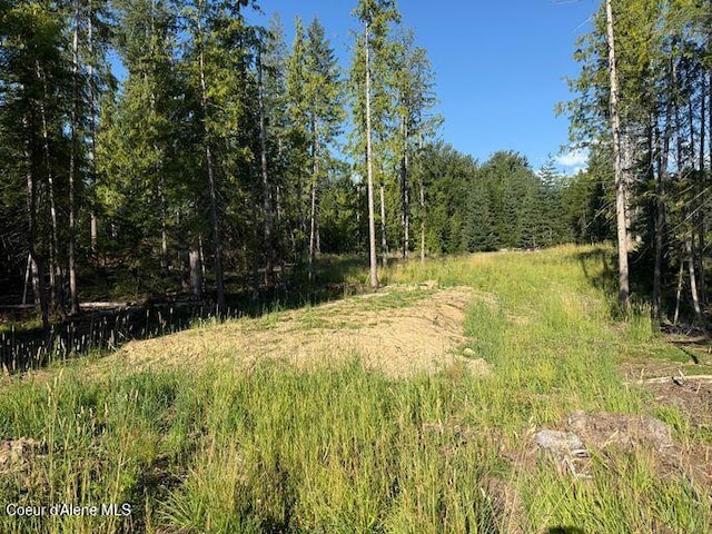 442 Fox Glen Rd, Sandpoint, ID 83864 - photo 13