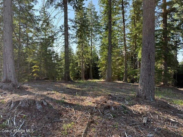 442 Fox Glen Rd, Sandpoint, ID 83864 - photo 9