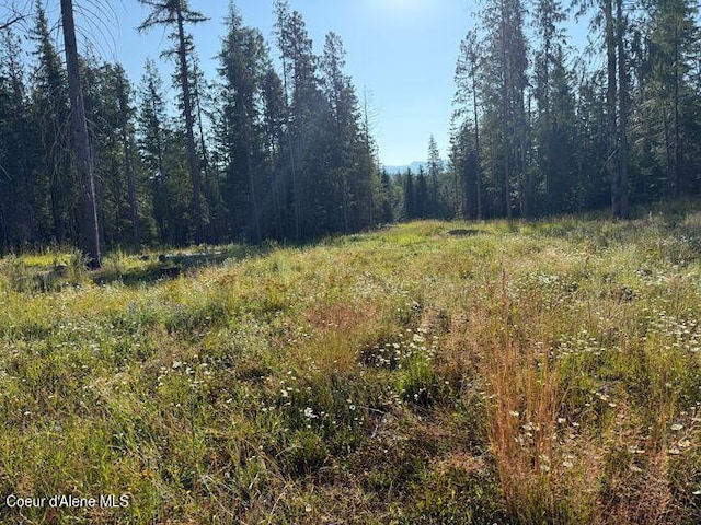 442 Fox Glen Rd, Sandpoint, ID 83864 - photo 7