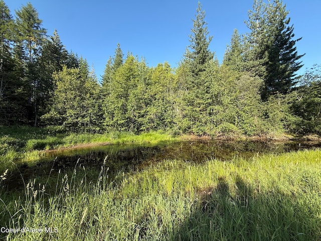 442 Fox Glen Rd, Sandpoint, ID 83864 - photo 17