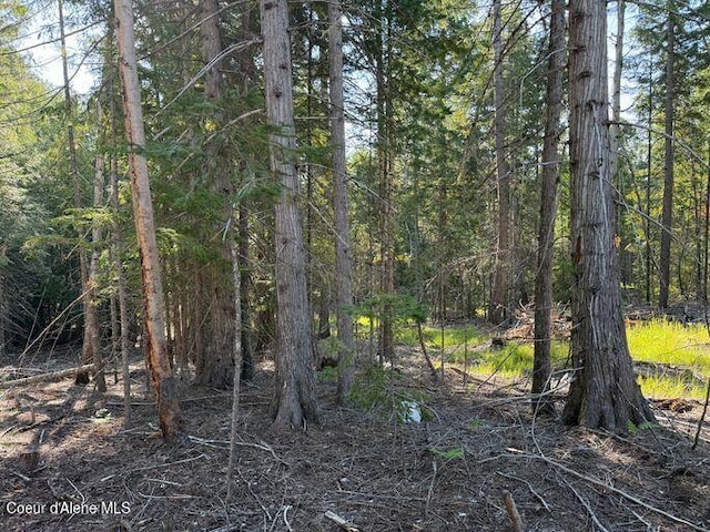 442 Fox Glen Rd, Sandpoint, ID 83864 - photo 14