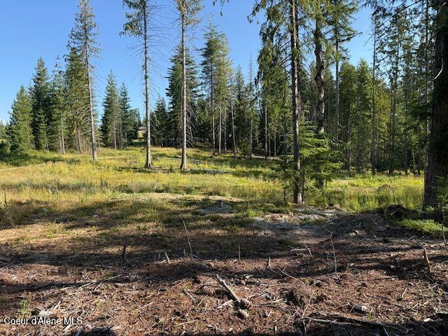 442 Fox Glen Rd, Sandpoint, ID 83864 - photo 4