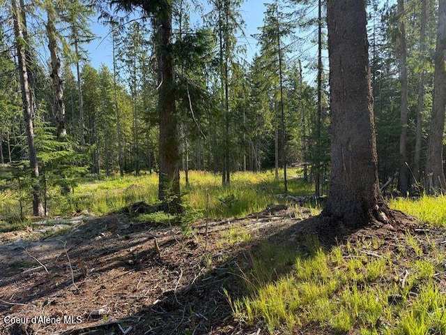 442 Fox Glen Rd, Sandpoint, ID 83864 - photo 10