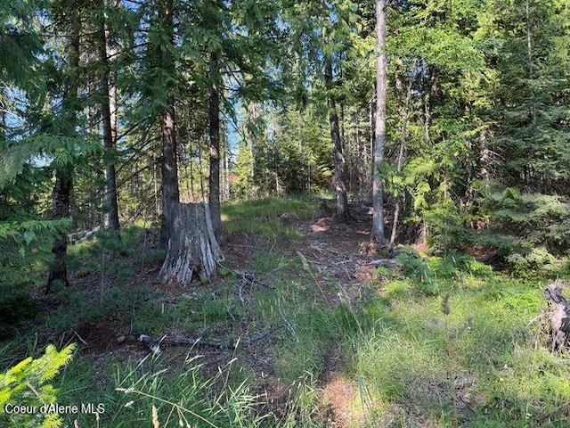 442 Fox Glen Rd, Sandpoint, ID 83864 - photo 15