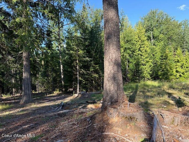 442 Fox Glen Rd, Sandpoint, ID 83864 - photo 16