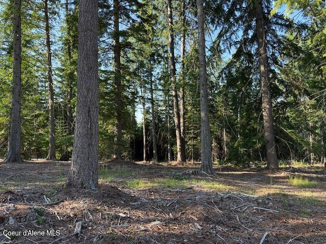 442 Fox Glen Rd, Sandpoint, ID 83864 - photo 3