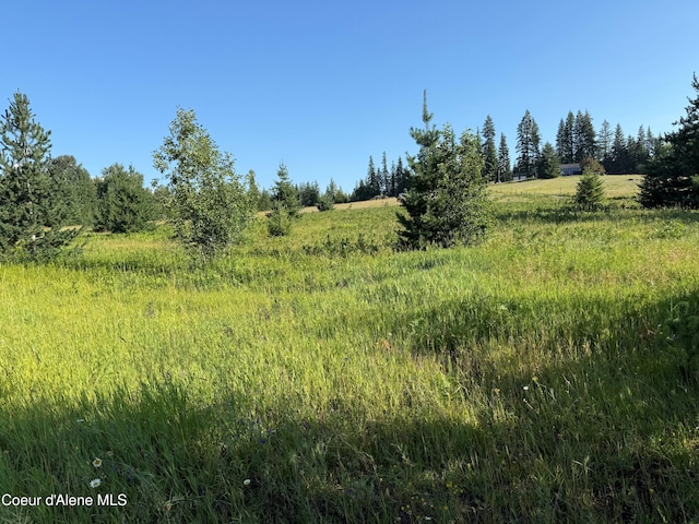 442 Fox Glen Rd, Sandpoint, ID 83864 - photo 1