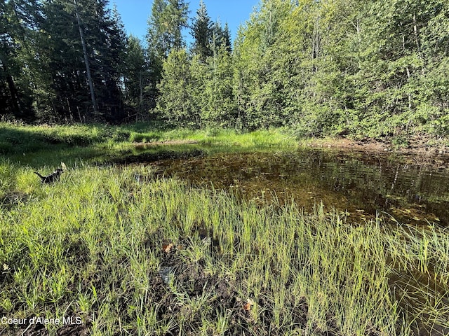 442 Fox Glen Rd, Sandpoint, ID 83864 - photo 18
