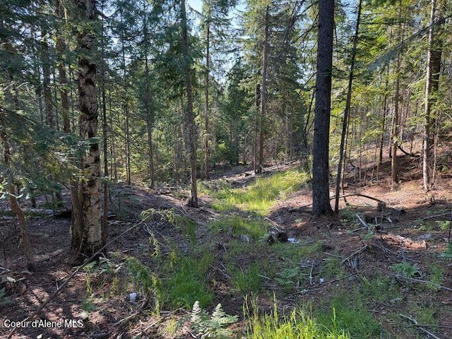 442 Fox Glen Rd, Sandpoint, ID 83864 - photo 8