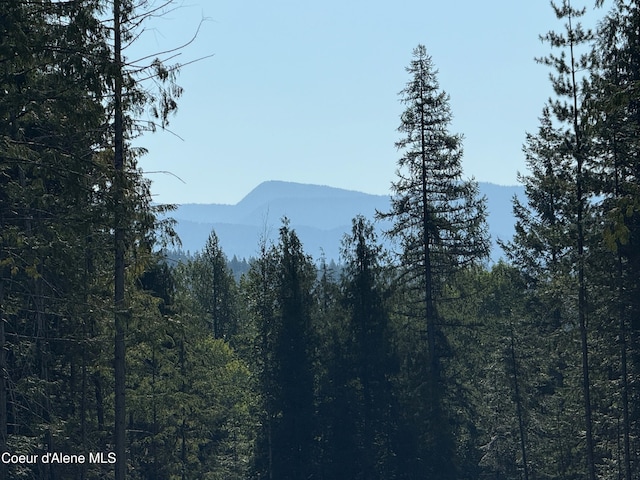 442 Fox Glen Rd, Sandpoint, ID 83864 - photo 6