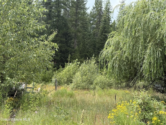 160 Nowhere Rd, Priest River, ID 83856 - photo 6