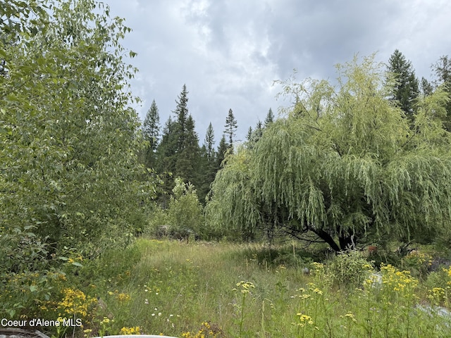 160 Nowhere Rd, Priest River, ID 83856 - photo 11