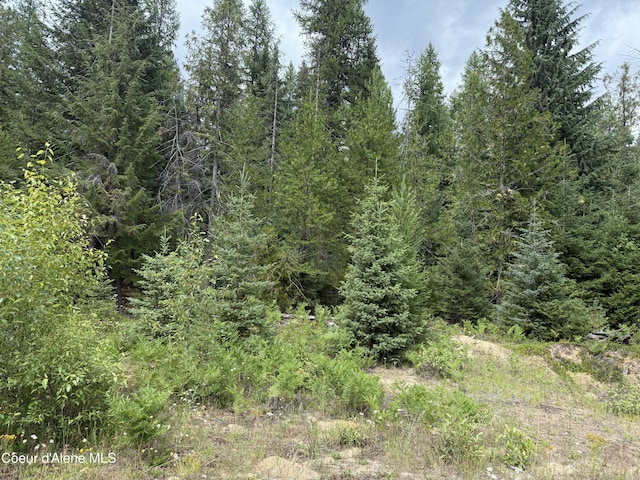 160 Nowhere Rd, Priest River, ID 83856 - photo 12