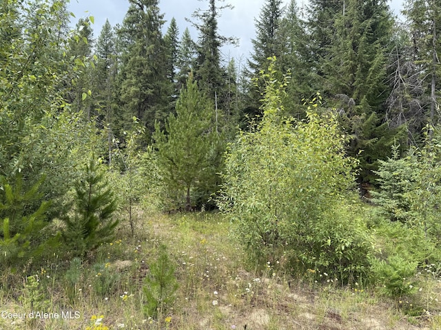 160 Nowhere Rd, Priest River, ID 83856 - photo 14