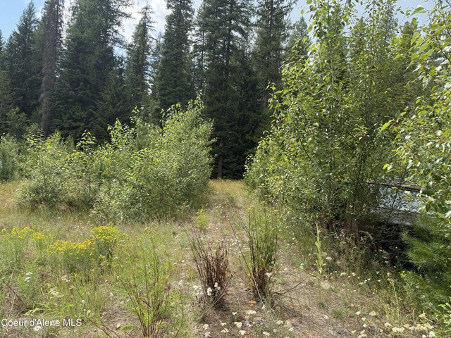 160 Nowhere Rd, Priest River, ID 83856 - photo 15