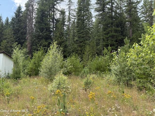 160 Nowhere Rd, Priest River, ID 83856 - photo 16
