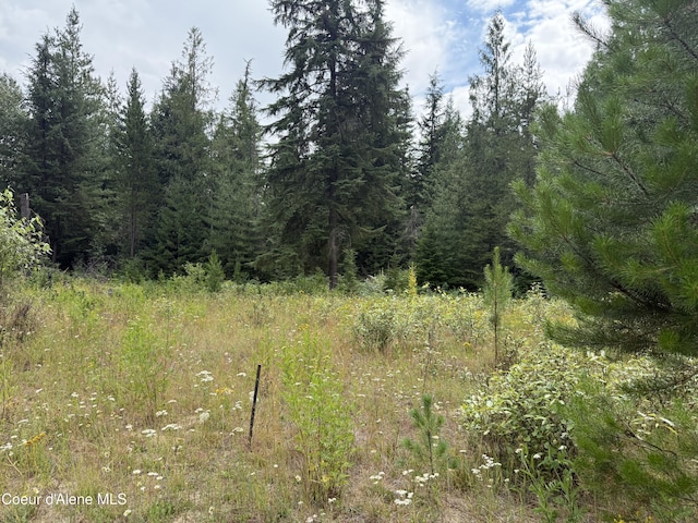 160 Nowhere Rd, Priest River, ID 83856 - photo 17