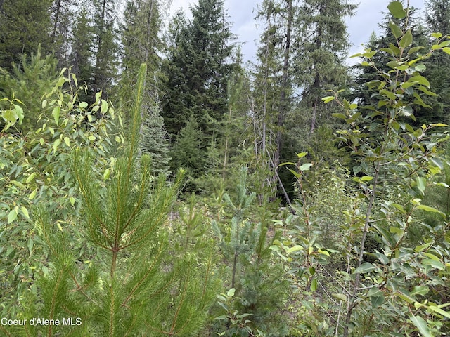 160 Nowhere Rd, Priest River, ID 83856 - photo 20