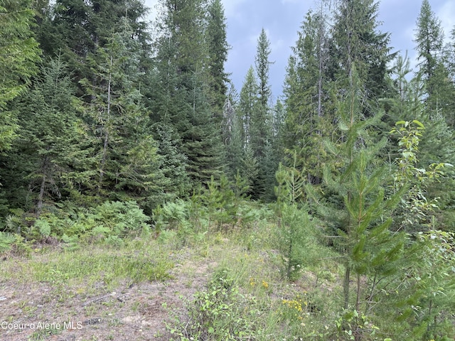 160 Nowhere Rd, Priest River, ID 83856 - photo 21