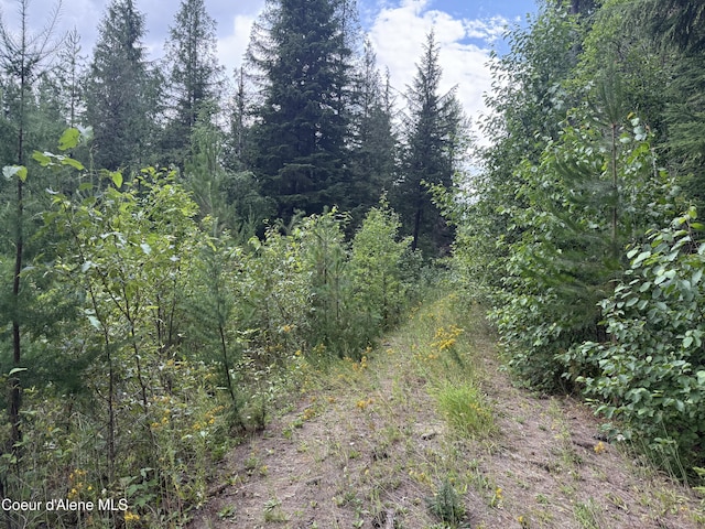 160 Nowhere Rd, Priest River, ID 83856 - photo 23