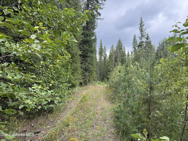 160 Nowhere Rd, Priest River, ID 83856 - photo 24