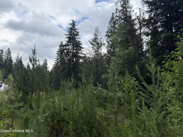 160 Nowhere Rd, Priest River, ID 83856 - photo 25