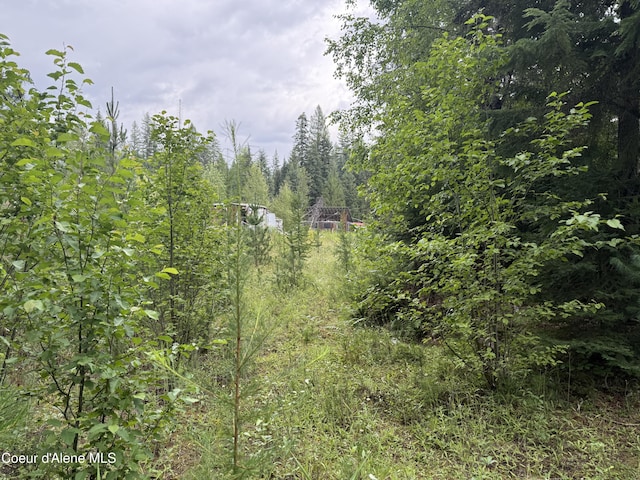 160 Nowhere Rd, Priest River, ID 83856 - photo 26