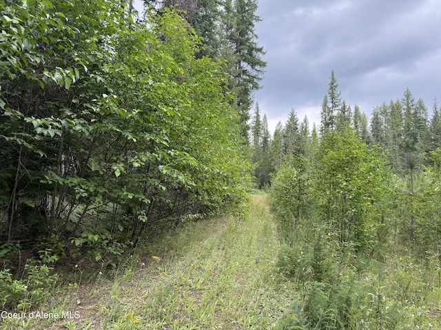 160 Nowhere Rd, Priest River, ID 83856 - photo 30