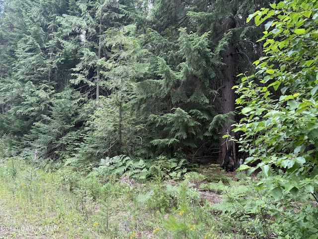 160 Nowhere Rd, Priest River, ID 83856 - photo 31