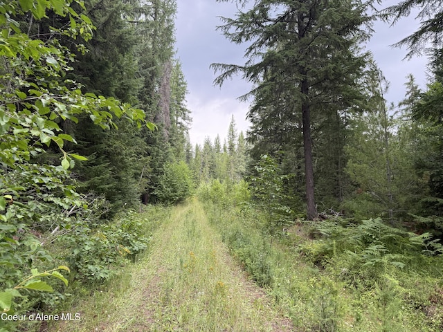 160 Nowhere Rd, Priest River, ID 83856 - photo 35