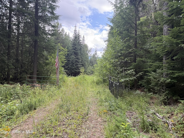 160 Nowhere Rd, Priest River, ID 83856 - photo 36